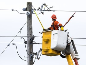 A Hydro Ottawa Hydro lineman finishes up repairs to a power line on Croydon Avenue.