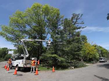 OTTAWA - May 25 2022 -  Home owners and crews clean up the mess from last Saturday's wind storm on Pineglen Crescent in Ottawa Wednesday. TONY CALDWELL, Postmedia.