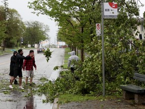 A powerful storm rolled through Ottawa Saturday, downing trees and flooding streets. Cleaning up on Smyth Road.