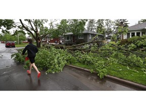 A powerful storm rolled through Ottawa Saturday, downing trees and flooding streets.