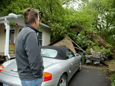 Paul Nightingale surveys the huge maple tree that demolished his garage and hit three roofs of his home in Manotick Saturday while he was away at the cottage.