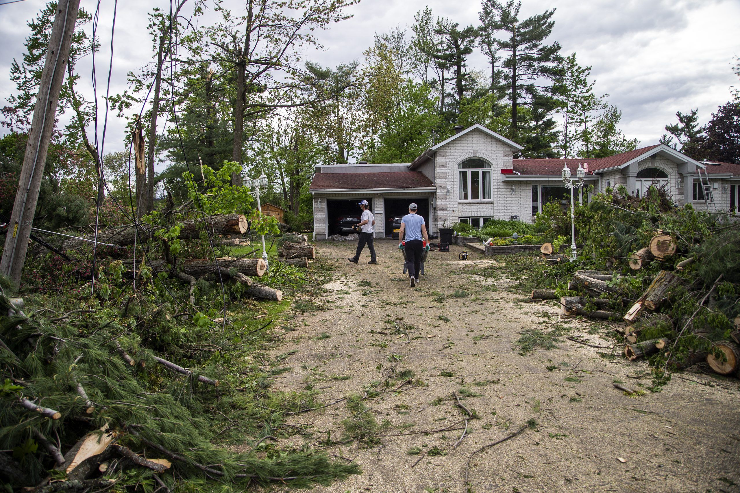 Special pickup of tree debris from May 21 storm winding down next week Ottawa Citizen