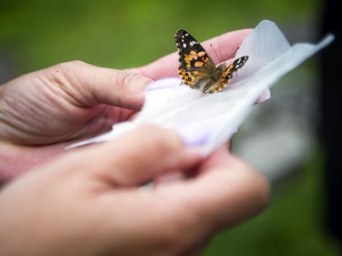 After the inside portion of the event guests, were given a butterfly to release in the gardens of the cemetery.