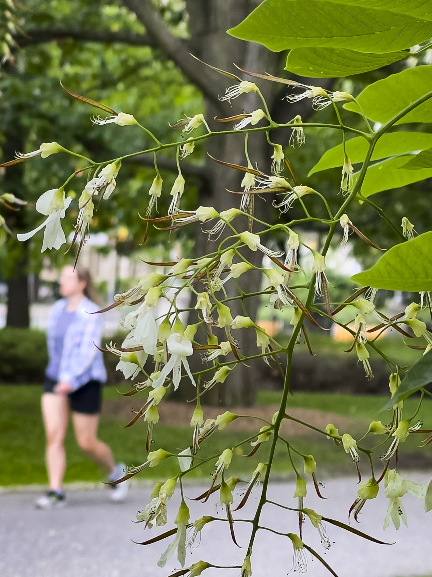 weather-mainly-sunny-getting-warmer-tuesday-and-wednesday-ottawa