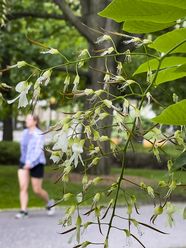 Weather Mainly Sunny Getting Warmer Tuesday And Wednesday Ottawa 