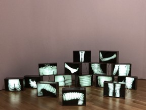 Evidence of Body Binding was the first work by General Idea acquired by the National Gallery of Canada in 1973. It is now part of a major retrospective of the work of the influential Canadian trio, presented at the gallery until to November 20.