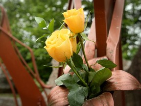 Three yellow roses are left at the Women's Monument in honour of Carol Culleton, Anastasia Kuzyk and Nathalie Warmerdam.
On Monday morning - the day a coroner's inquest into the deaths of the three Ottawa Valley women  began - a vigil was held in their honour at the Women's Monument in Petawawa.