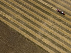 In this photo taken using a drone, a farmer crops a field in Mississippi Mills, Ont., on Tuesday, Aug 10, 2021. The Ontario Federation of Agriculture says the province is facing an alarming increase in the rate of farmland loss.