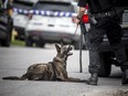 FILE: Ottawa police canine unit