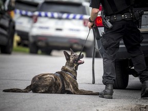FILE: Ottawa police canine unit