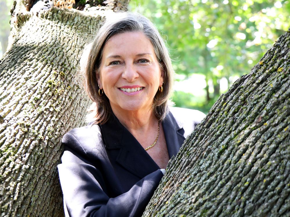 Carol Anne Meehan: Municipal politics is freighted with rules and procedures, but you can still get some things done.