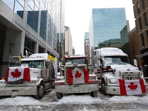 A file photo shows trucks parked in downtown Ottawa on Feb. 4 as part of the ‘Freedom Convoy’ protest.