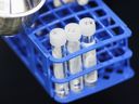 File photo: PCR swab tests at a pre-departure coronavirus disease (COVID-19) testing facility.