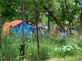 Files: About 60 people are camping in the woods around the Integrated Care Hub in Kingston, Ont. on Tuesday, June 14, 2022.