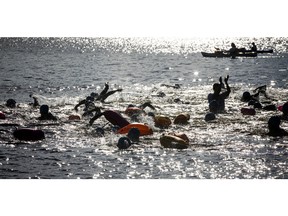 The Riverkeeper Open Water Swim race took place in the Ottawa River, starting and finishing at the Lac Deschênes Sailing Club, Sunday, August 14, 2022. The 1.5K racers head out on course after the start gun went off.