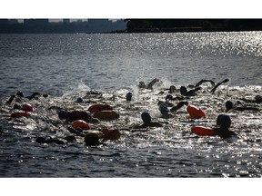 The Riverkeeper Open Water Swim race took place in the Ottawa River, starting and finishing at the Lac Deschênes Sailing Club, Sunday, August 14, 2022. The 1.5K racers head out on course after the start gun went off.