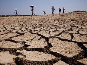 People walk across a dried-up section of Poyang Lake that is facing low water levels due to a regional drought in Lushan, Jiangxi province, China, August 24, 2022.