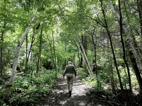“It’s going to take, like, 100 years to bring the forest back to where it was,” John Podgorski says of Hazeldean Woods in Kanata.