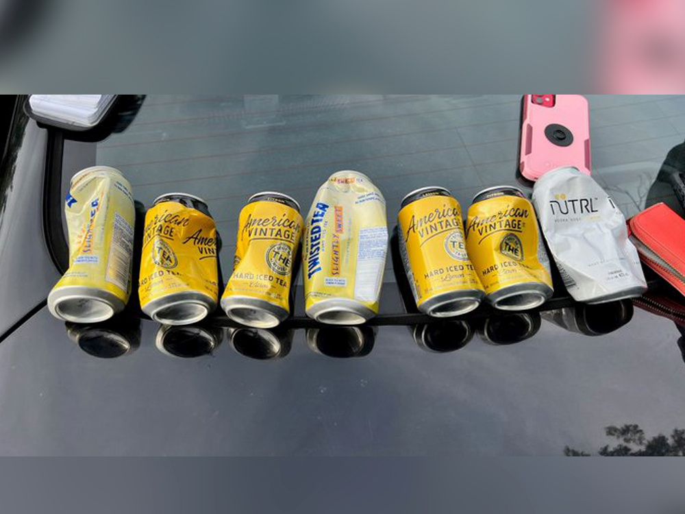 La triple limite légale d’alcool du conducteur après la «rage au volant» d’Island Park Drive: GRC