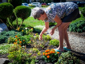 Georgina King, 78, is upset about a city  notice of violation she received about her front yard rock garden in the east end.