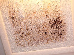 This uninsulated attic access hatch is like many that get cold in winter. This triggers condensation and the kind of black mold growth you see here.