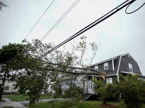 A tree rests against power lines after post-tropical storm Fiona hit on September 24, 2022 in Sydney, Nova Scotia on Cape Breton Island in Canada.