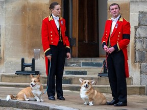 Members of the Royal Household stand with the Queen's royal Corgis, Muick and Sandy as they await the wait for the funeral cortege on September 19, 2022 in Windsor, England. The committal service of Queen Elizabeth II at St George's Chapel, Windsor Castle, took place following the state funeral at Westminster Abbey. Windsor, Britain, September 19, 2022.