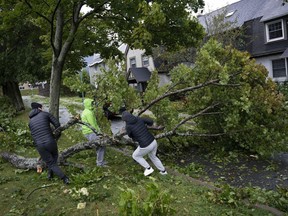 People work to drag a fallen tree limb from their street as post tropical storm Fiona causes widespread damage in Halifax, on Sept. 24, 2022.