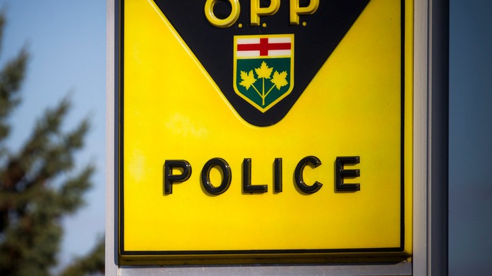 OPP net suspect in tropical fish theft at Ottawa Valley restaurant