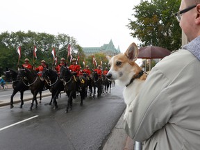 OTTAWA – Sept 19, 2022 – Jose holds his dog Maple as they watch the parade on Wellington Street Monday.