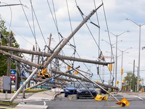 The effects of last May's derecho on Merivale Road. The storm was expected to cost the City of Ottawa $19.5 million this year.
