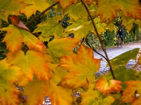 As of Thursday, the  NCC's colour meter was at "tail end season" for downtown, the Greenbelt and Gatineau Park.