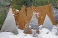 Shrubs protection from frost in winter garden. (Getty Images)