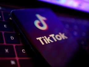 TikTok is competing successfully with the other social media giants to capture and hold your attention.
