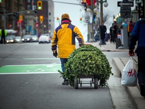 A Christmas Tree, avoiding the sidewalk traffic.   Ashley Fraser/Postmedia