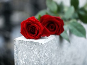 Red roses on light grey tombstone.