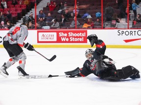 Erica Howe #27 of Team Nurse makes a save against Brianne Jenner #19 of Team Poulin during the PWHPA All-Star Game at Canadian Tire Centre on December 11, 2022.