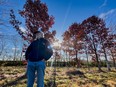Bob Dobson bought the family farm from his father more than 50 years ago. When he first acquired it, there were almost no trees on the property. Since then, he has planted 700-1,000 trees almost every year, slowly reforesting parts of the 200-acre farm.