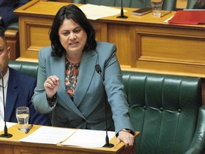 New Zealand Minister for Research, Science and Innovation, and Associate Minister of Health Ayesha Verrall speaks about the smokefree legislation at its 3rd reading at Parliament in Wellington on December 13, 2022