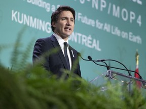 Prime Minister Justin Trudeau delivers remarks during the opening ceremony of the COP15 UN conference on biodiversity in Montreal on Tuesday.