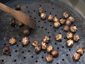 File: Chestnut Roast.