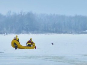 The trapped deer can be scene just ahead of the Ottawa Fire Service rescue craft.
