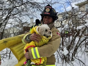 Ottawa firefighter Luca Paoloni with rescued pooch Wednesday