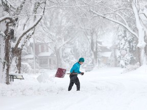 A woman shovels her driveway in Ottawa East after an overnight snow storm in Ottawa Friday Dec. 16.