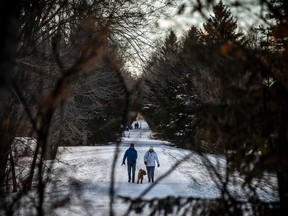 OTTAWA - Expect strong winds Saturday that could break tree branches and cause power outages, says Environment Canada. ASHLEY FRASER/Postmedia