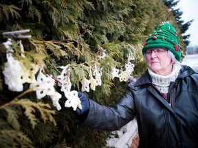 OTTAWA – December 23, 2020 – Wilhelmina Ross has made and hung stars for each Ottawa life lost to COVID-19. She shows off the stars that hang along Campeau Drive, Dec. 23, 2020.