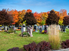 Throughout February, Beechwood Cemetery is honouring Black Canadians who have helped to shape Ottawa.