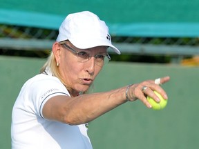(FILES) This file photo taken on November 26, 2015 shows former US tennis player Martina Navratilova.