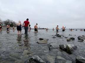 More than two dozen cold water swimmers with Wim Hof Kingston wade into the water at Richardson Beach in Kingston on Sunday, Jan. 8, 2023, during one of their twice-weekly swims.
