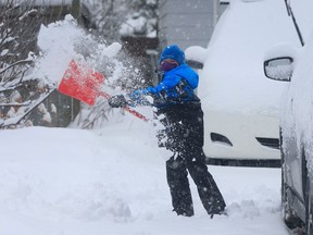 Forest helps his dad shovel his driveway after an overnight snow storm in Ottawa.